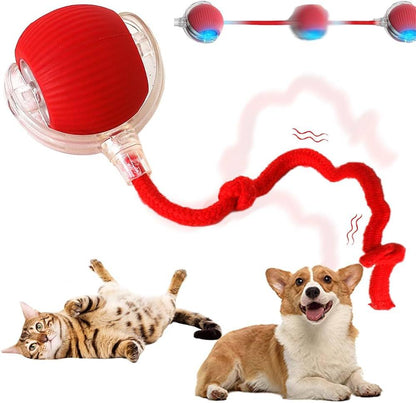 PELOTA INTERACTIVA PARA MAS-COTA